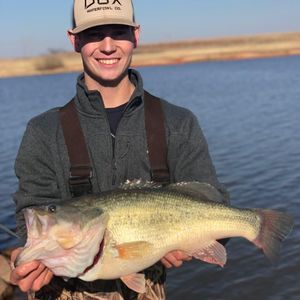 Meet your Posher, Bryce